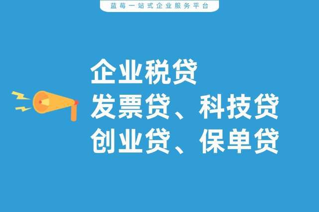 无资产抵押的公司,可以申请哪些融资产品